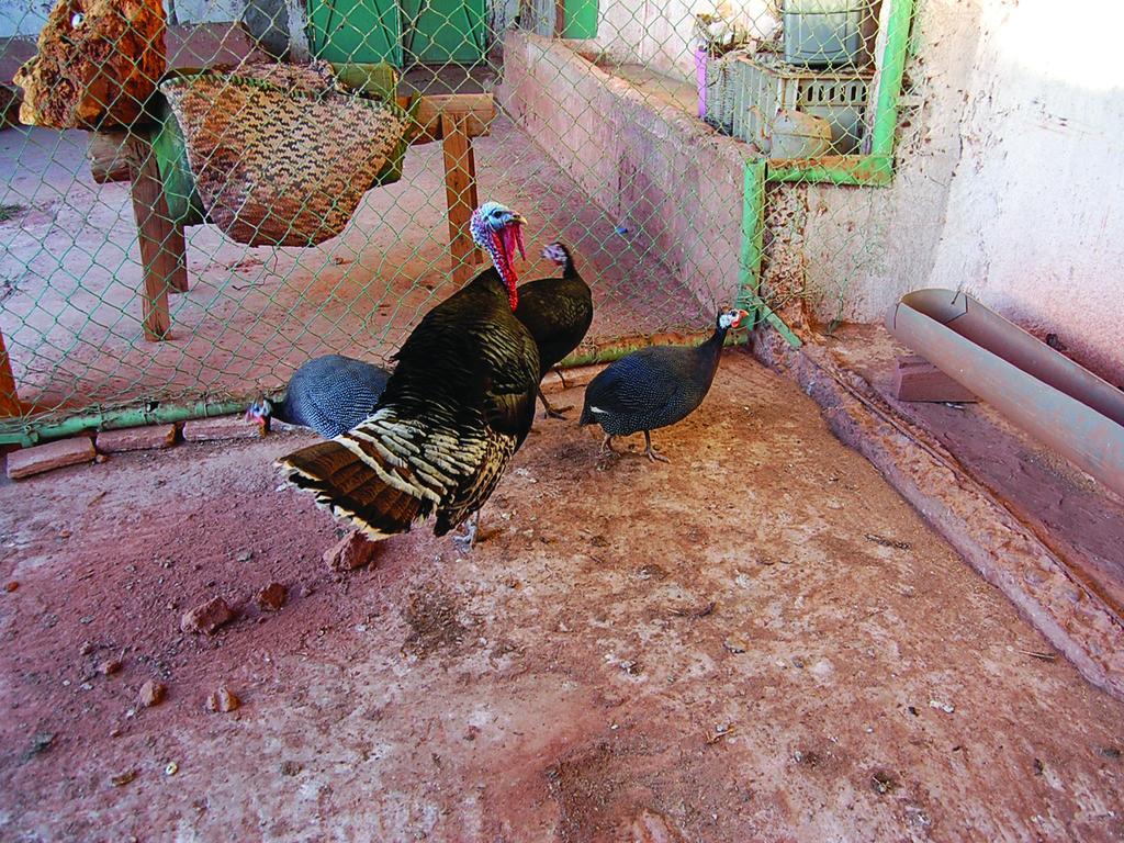 Gite Souss Oulad Teima Экстерьер фото