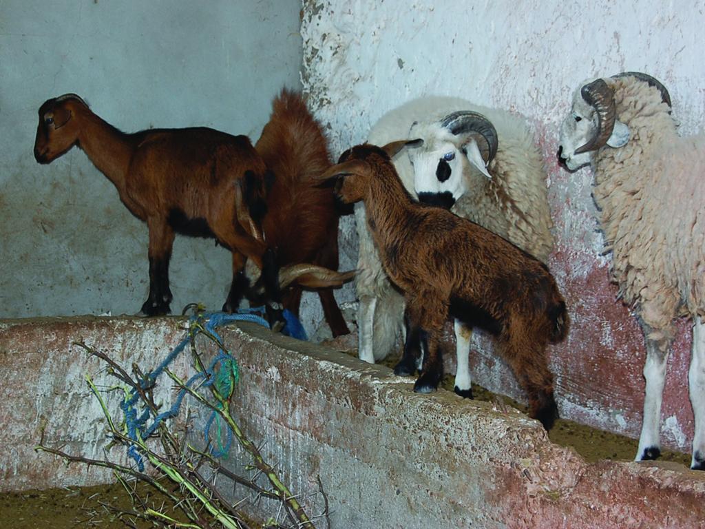 Gite Souss Oulad Teima Экстерьер фото