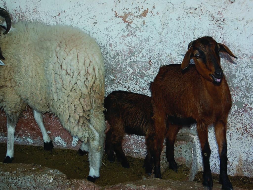 Gite Souss Oulad Teima Экстерьер фото