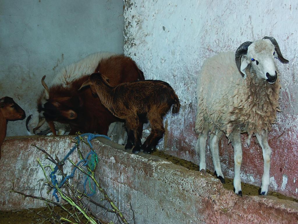 Gite Souss Oulad Teima Экстерьер фото